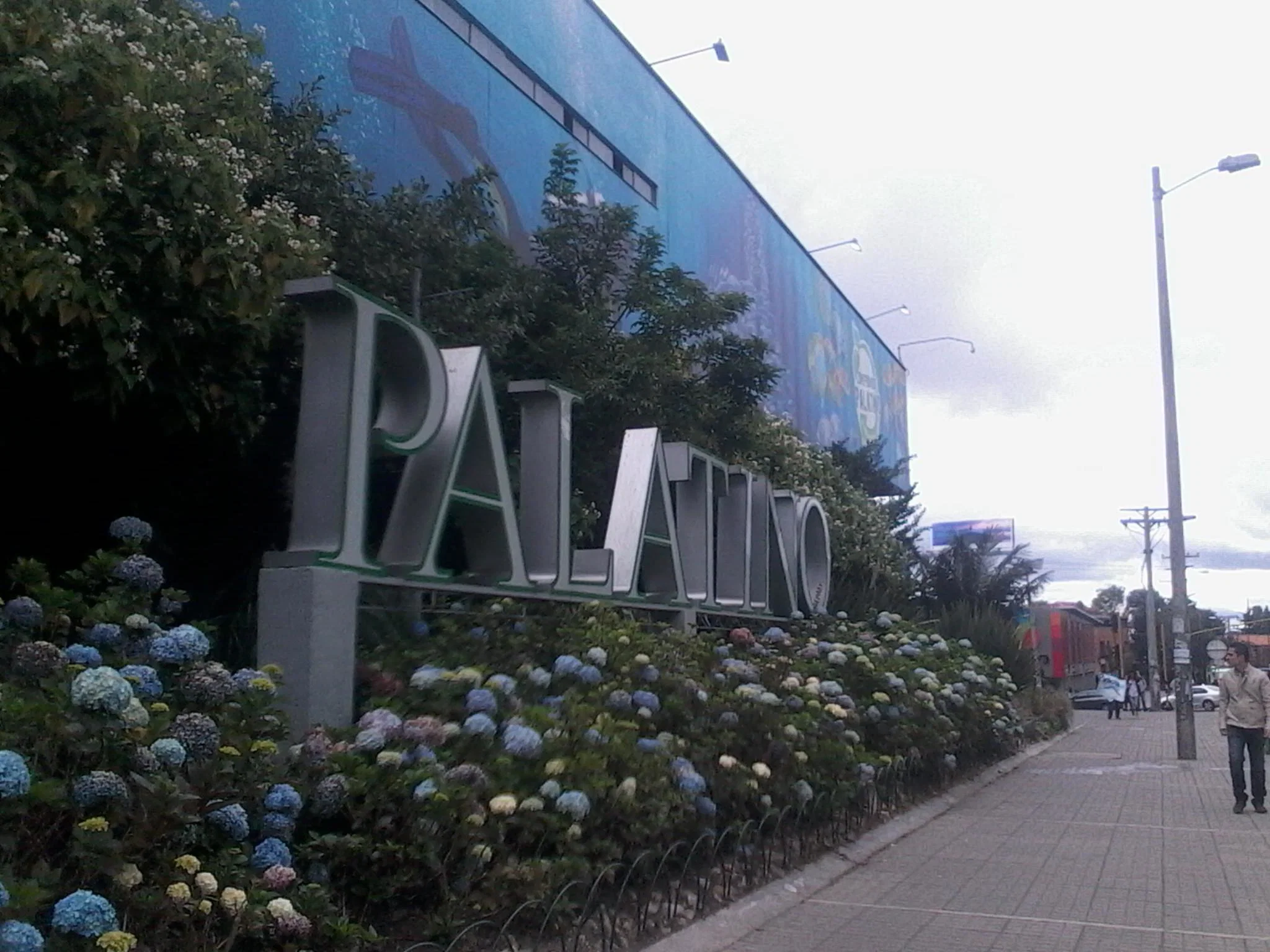Palatino, vista 2