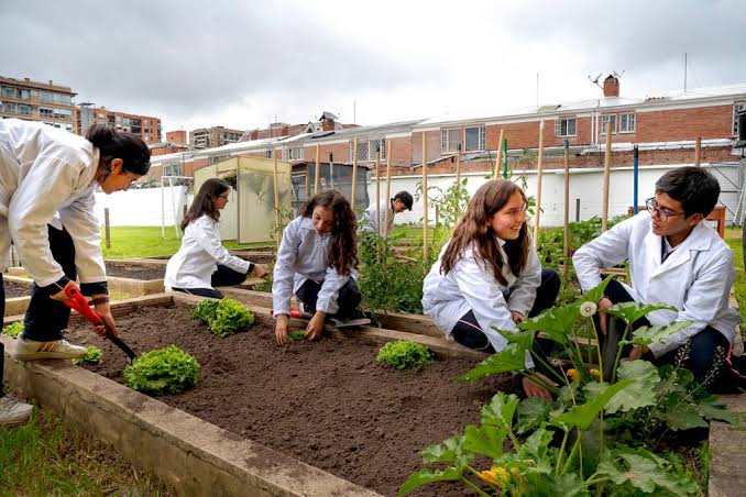 Colegio Provinma, fotografía 3